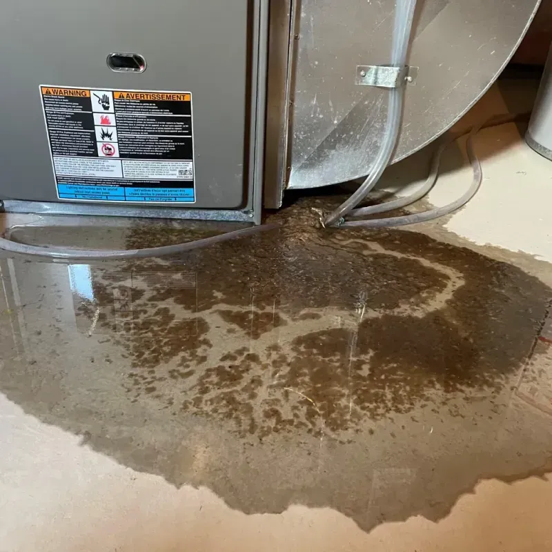 Appliance Leak Cleanup in Rossville, IL